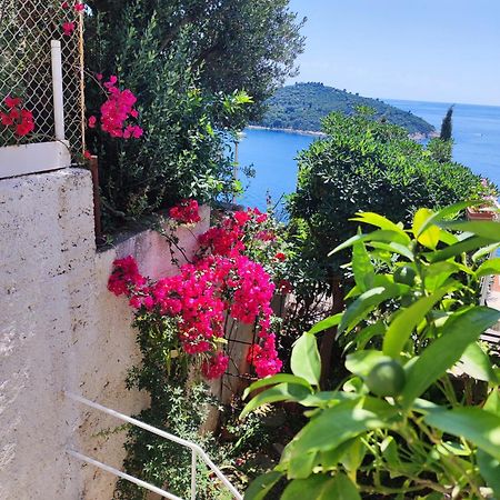 Apartment Agneza Dubrovnik Extérieur photo