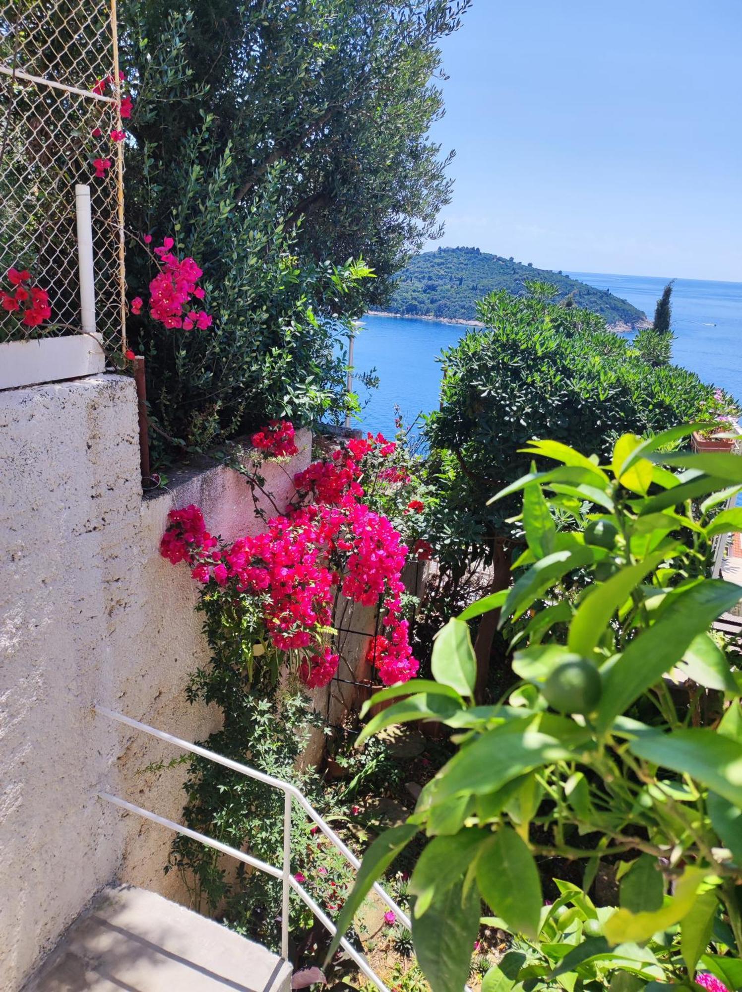 Apartment Agneza Dubrovnik Extérieur photo